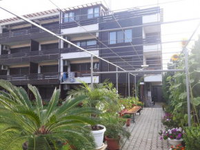 Apartments in Sunny Hill 3 Guest House